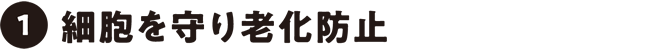 細胞を守り老化防止