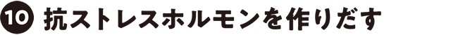 抗ストレスホルモンを作りだす